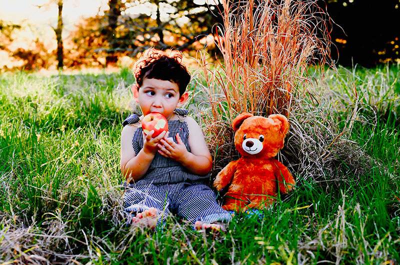 Toddler eating an apple in golden grass with a teddy bear — McKinney little-ones photography by BK Bennett