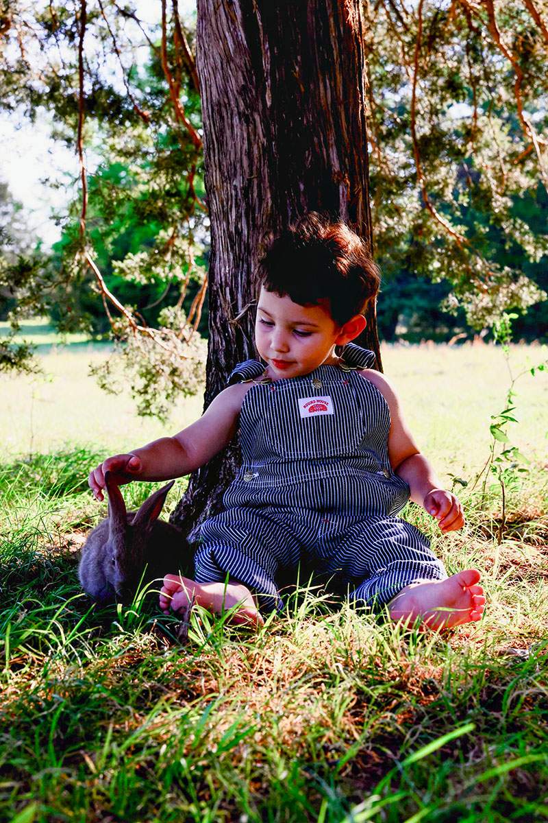 Toddler petting a small rabbit by a tree — Plano little-ones photography by BK Bennett